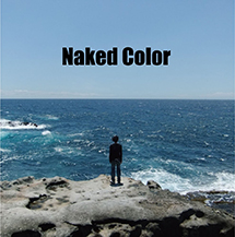 NAKED COLOR